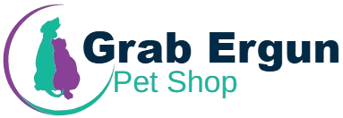 Teacup Maltipoo For Sale