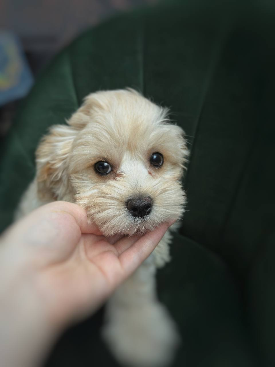 image_2026-03-29_151918417